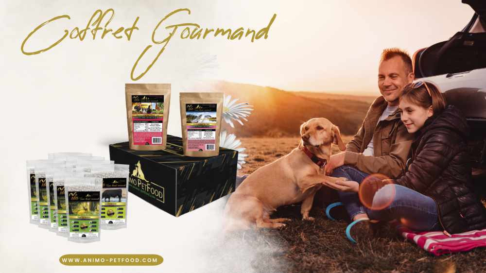 coffret-voyage-pour-chien